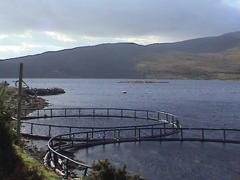 DSC01335