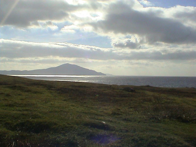 DSC01337