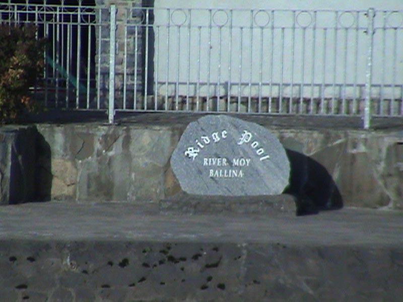 DSC01311