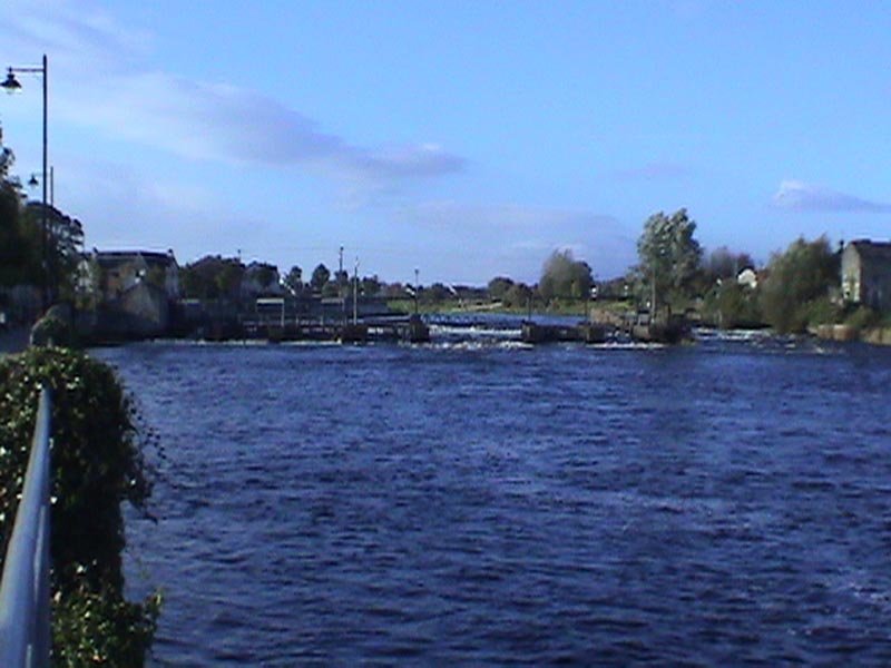 DSC01312
