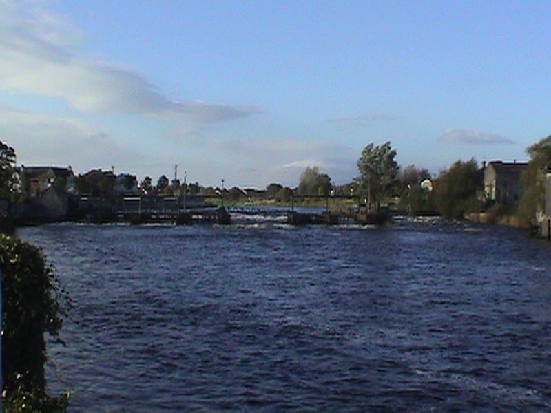 DSC01314