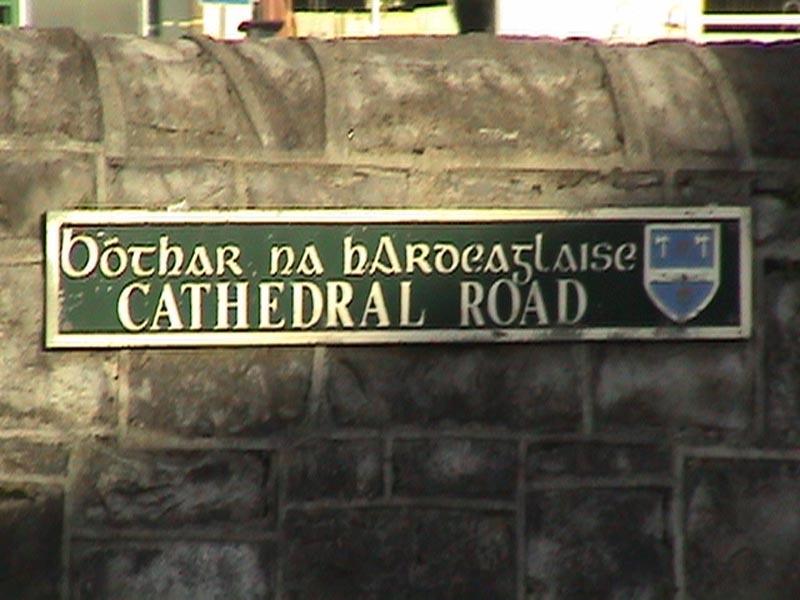 DSC01315