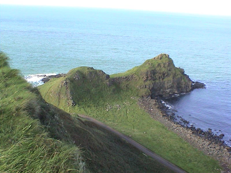 DSC01217