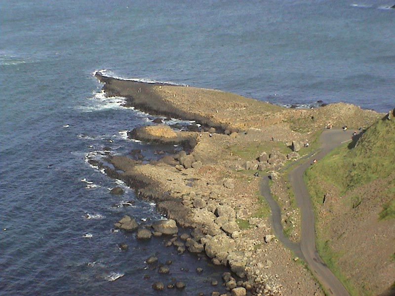 DSC01219