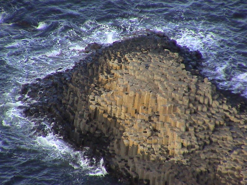 DSC01220