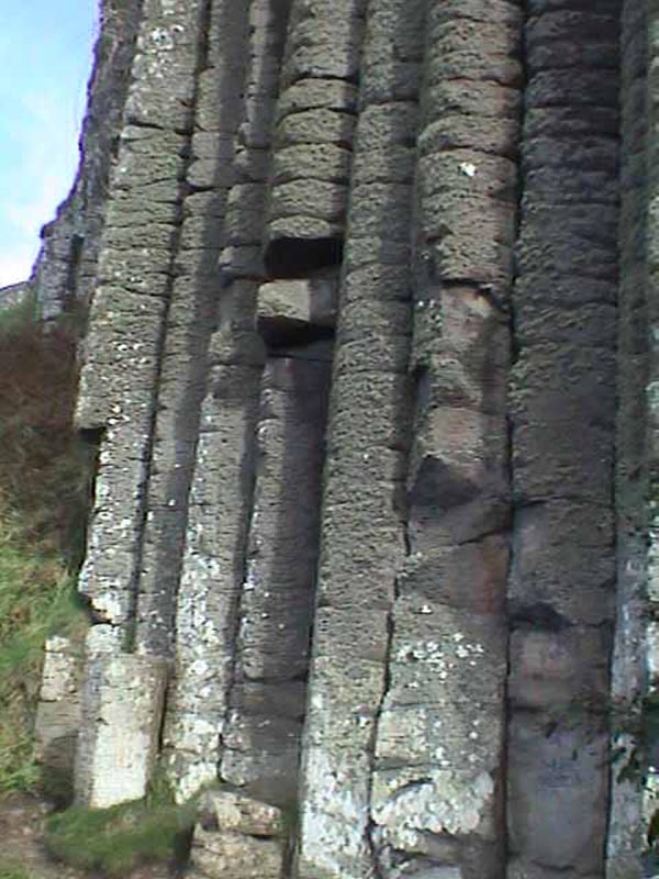 DSC01221