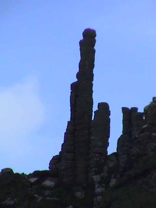 DSC01226