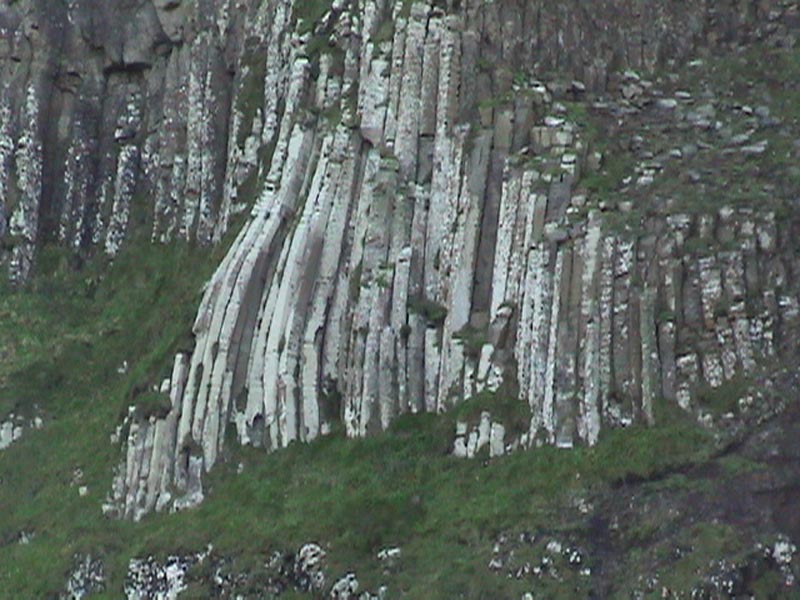 DSC01231
