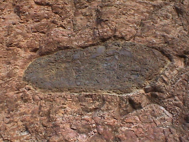 DSC01232