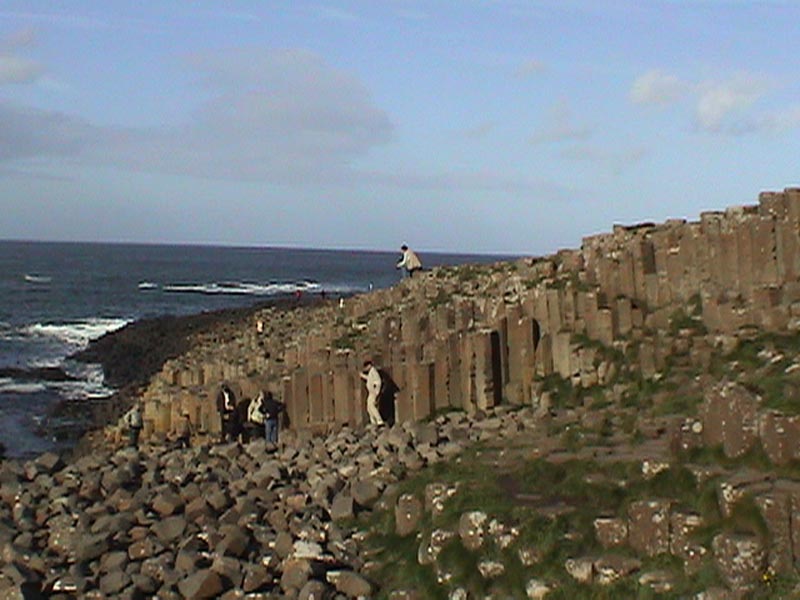 DSC01237