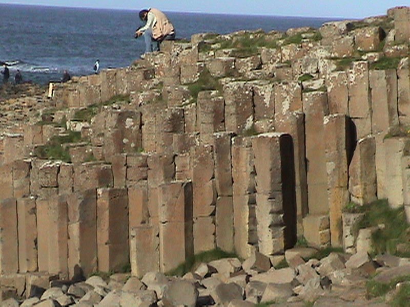 DSC01238