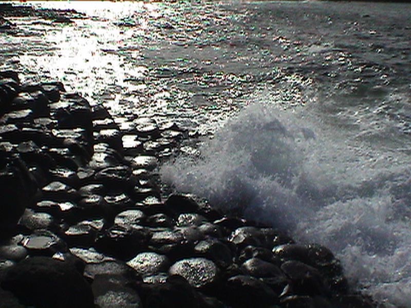 DSC01243