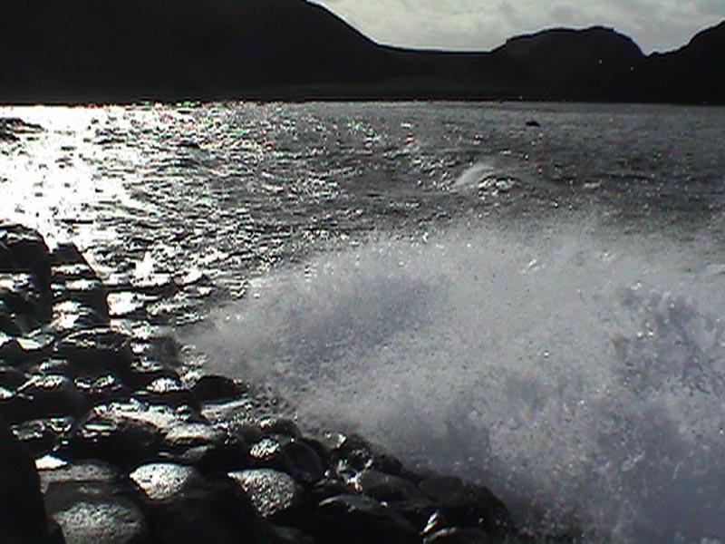 DSC01244