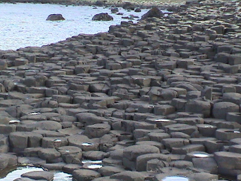 DSC01246