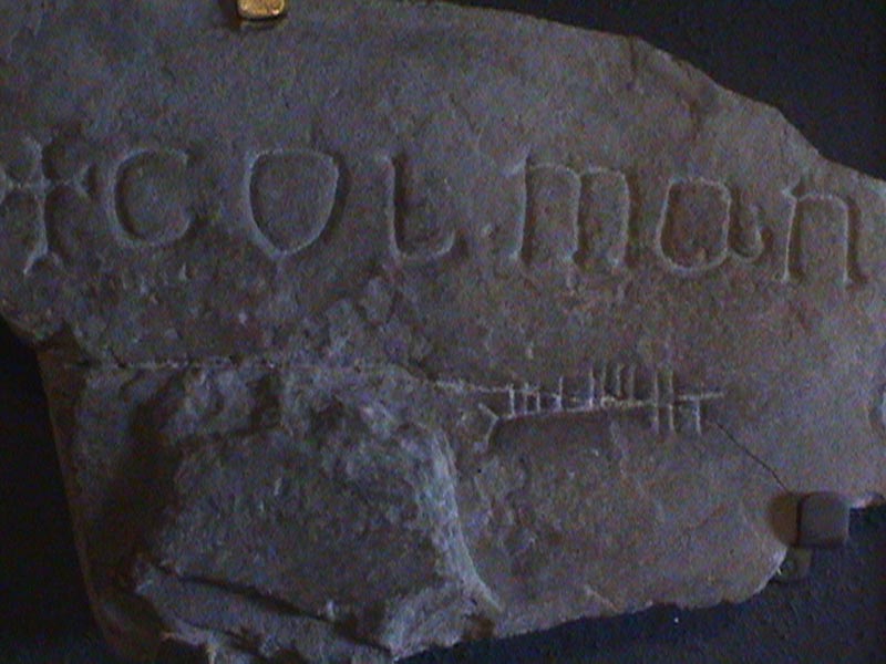DSC01367