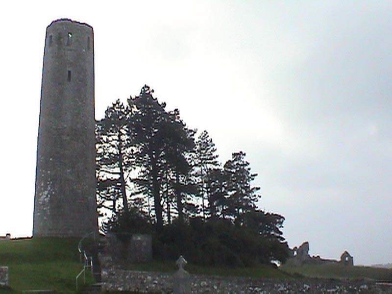DSC01376