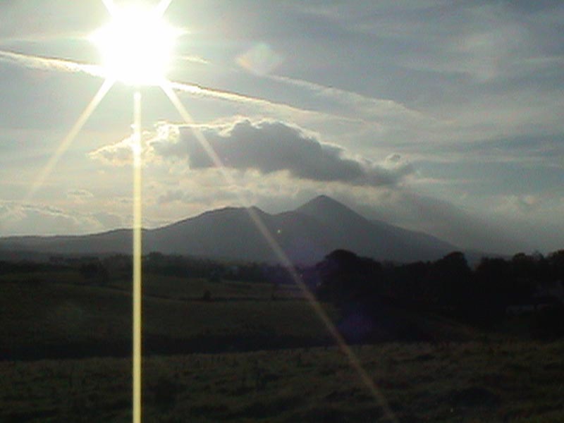 DSC01340