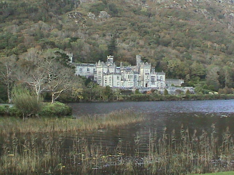 DSC01342