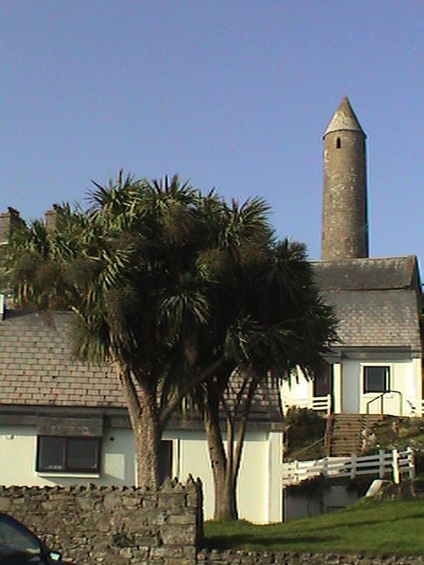 DSC01316