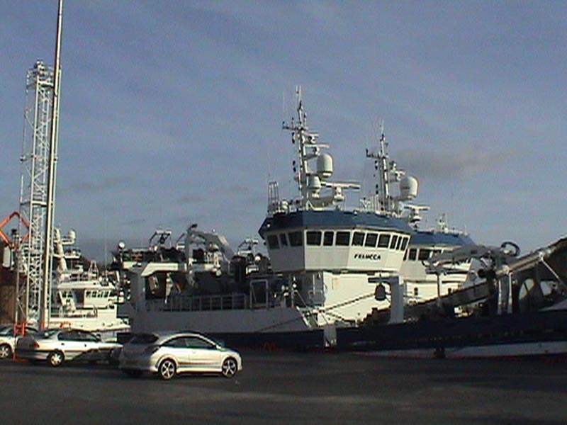 DSC01267