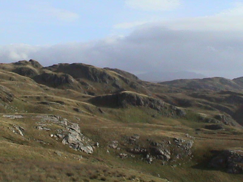 DSC01278
