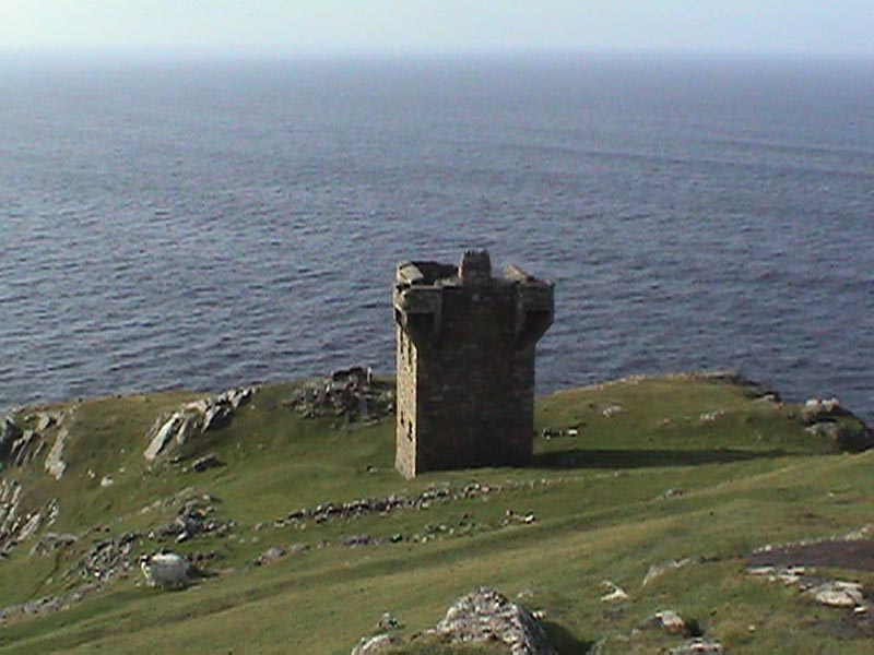 DSC01279