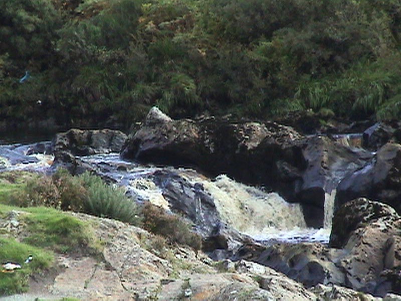 DSC01285