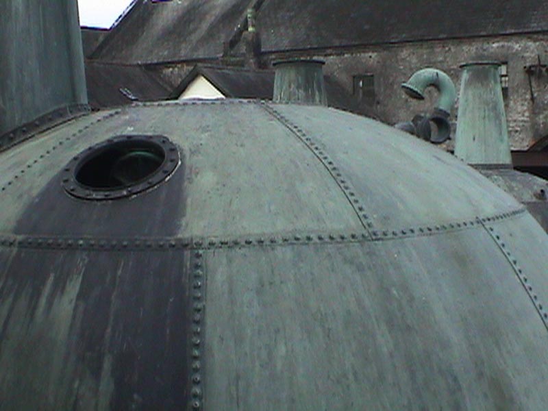DSC01403