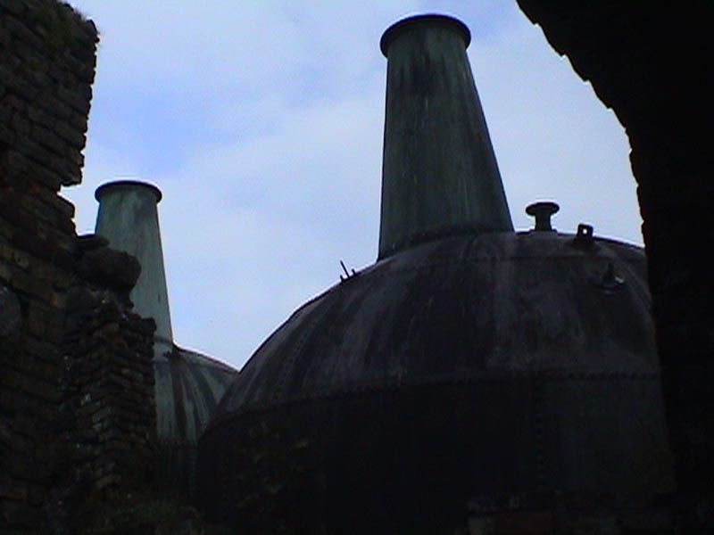 DSC01410