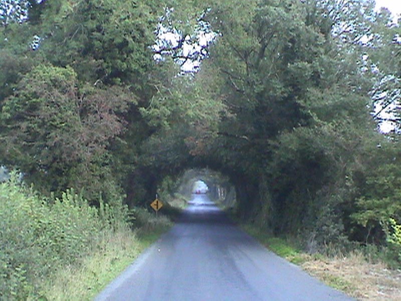 DSC01418