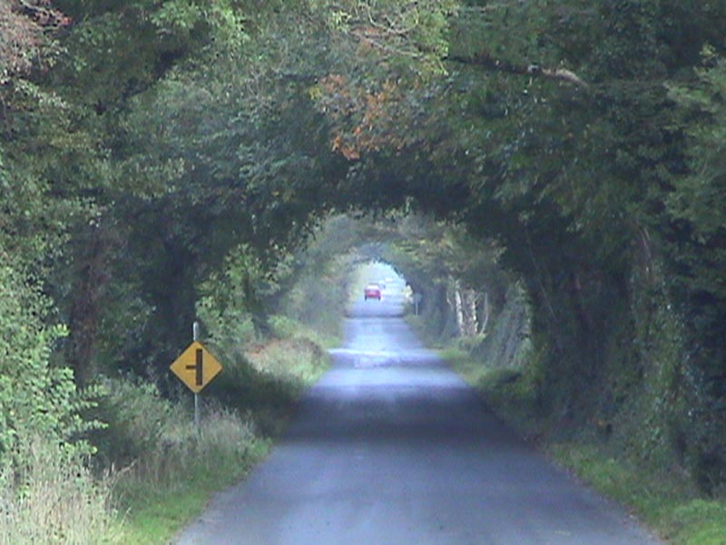 DSC01419