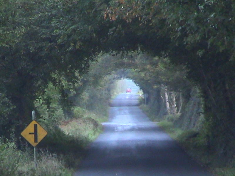 DSC01420