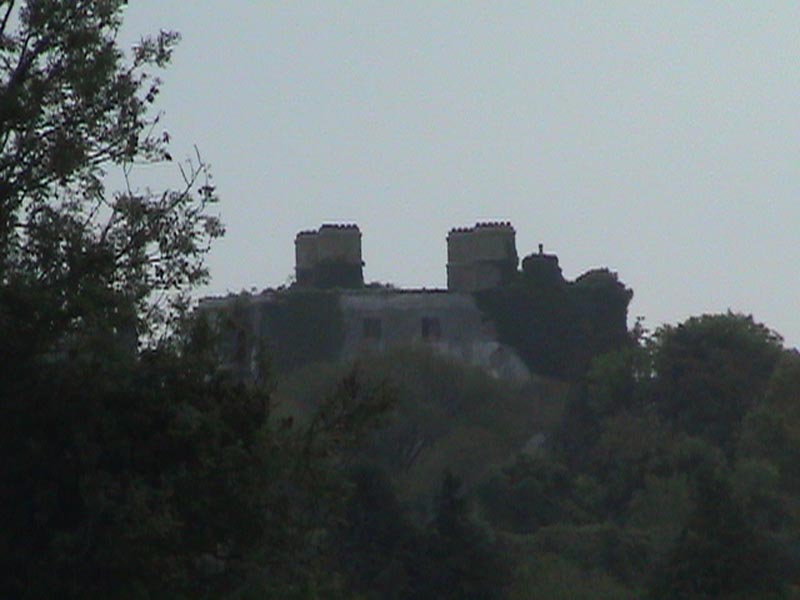 DSC01423