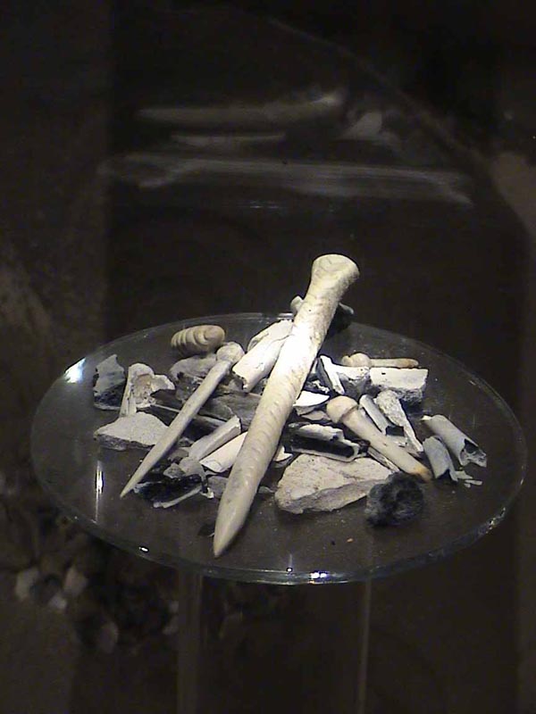DSC01161