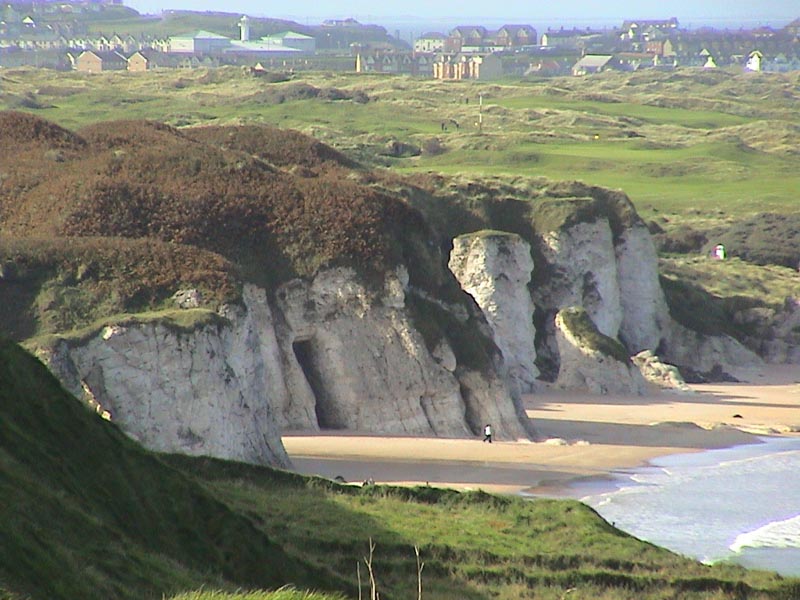 DSC01202