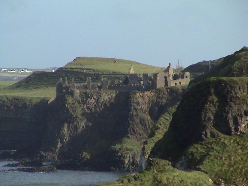 DSC01203