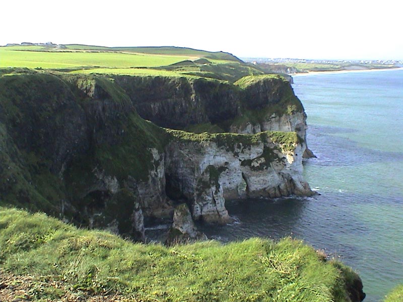 DSC01205