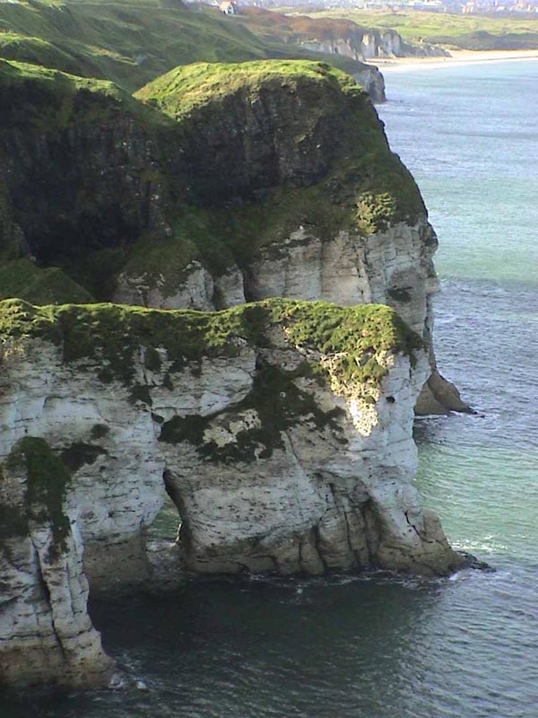 DSC01206