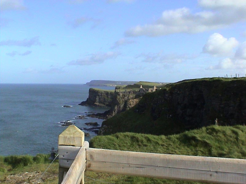 DSC01208