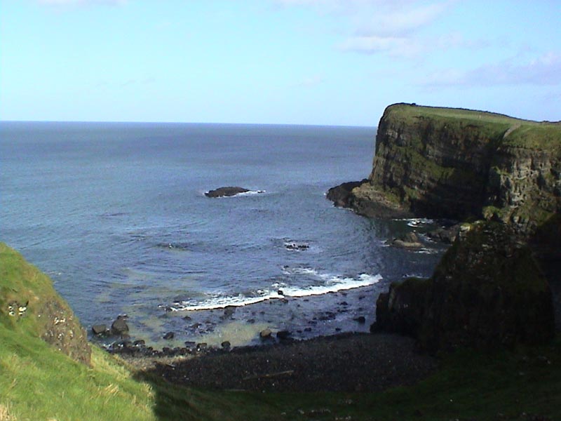 DSC01212