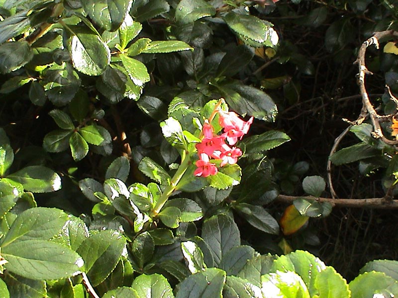DSC01213