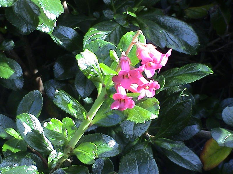 DSC01214