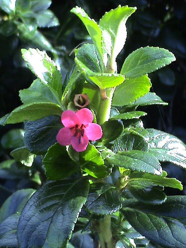 DSC01215