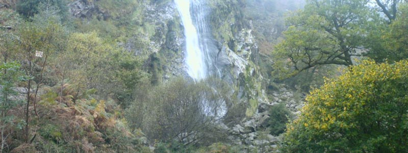 DSC00089