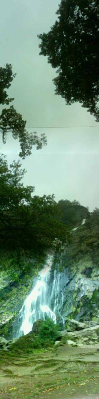 DSC01339