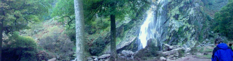 DSC01340