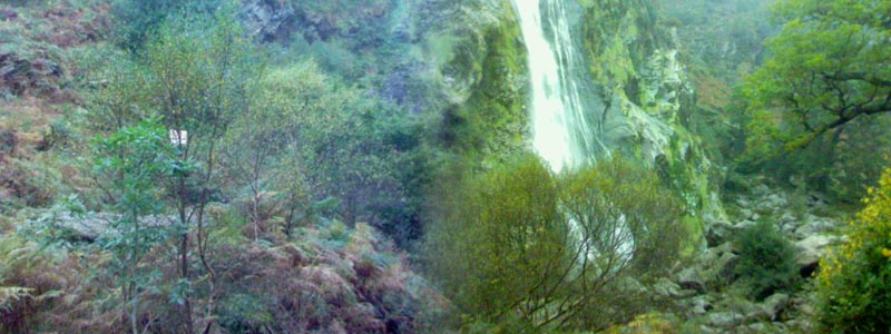 DSC01343