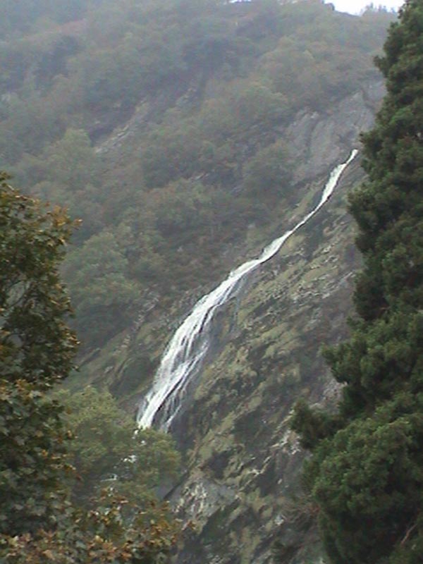 DSC01426
