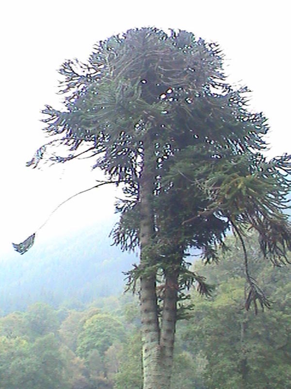 DSC01428