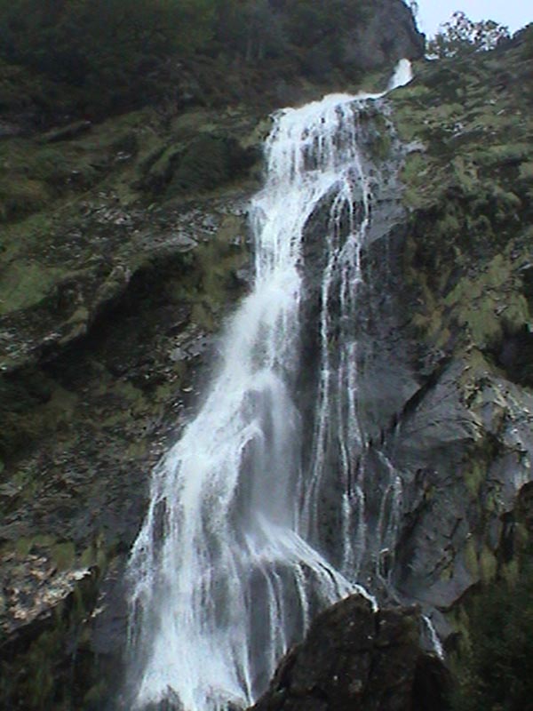 DSC01429